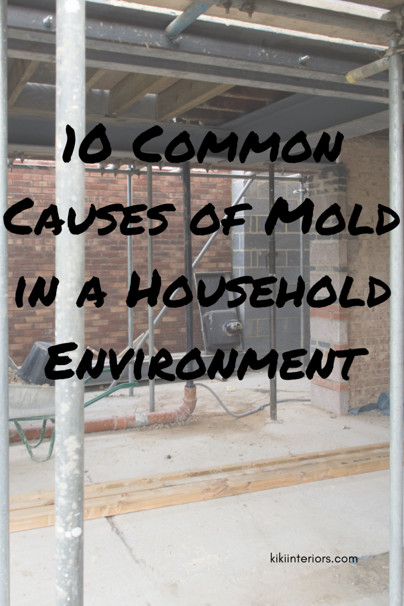 10-common-causes-of-mold-in-a-household-environment