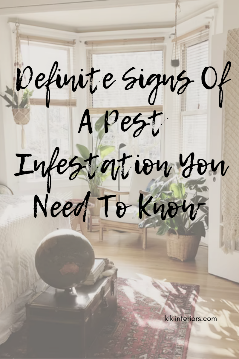 definite-signs-of-a-pest-infestation-you-need-to-know