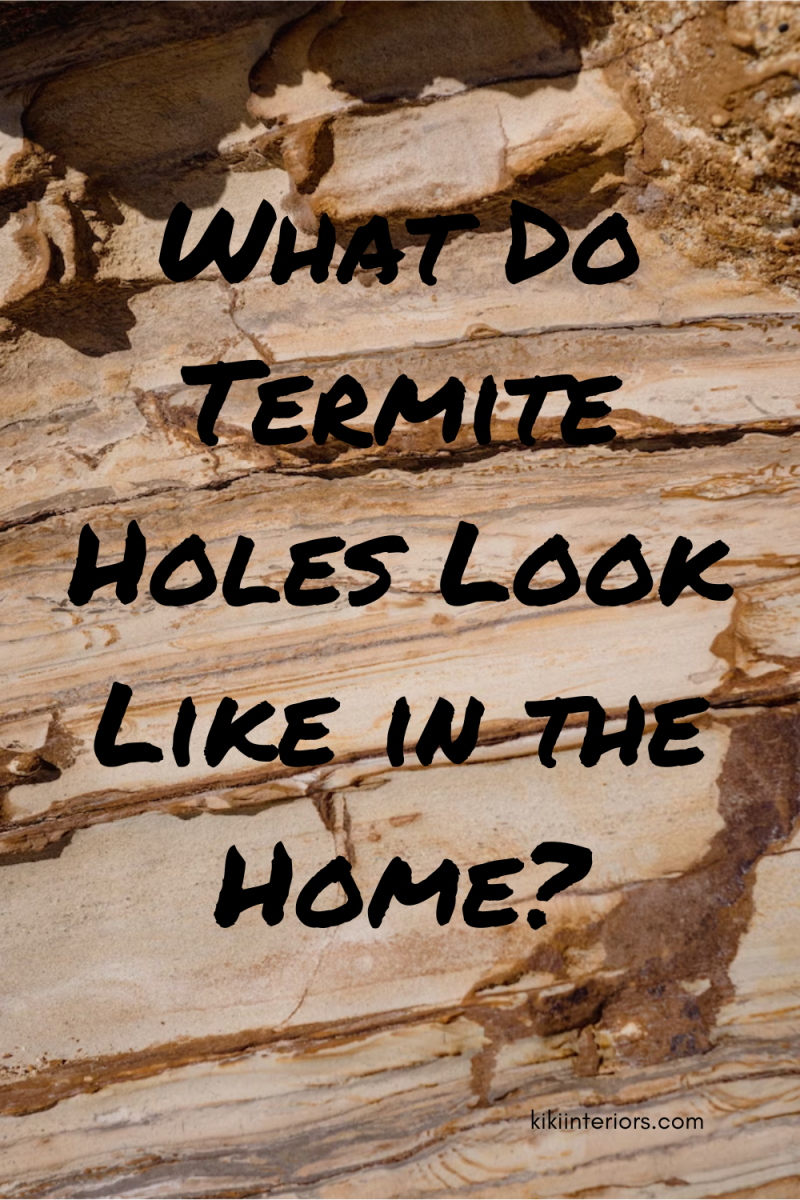 what-do-termite-holes-look-like-in-the-home