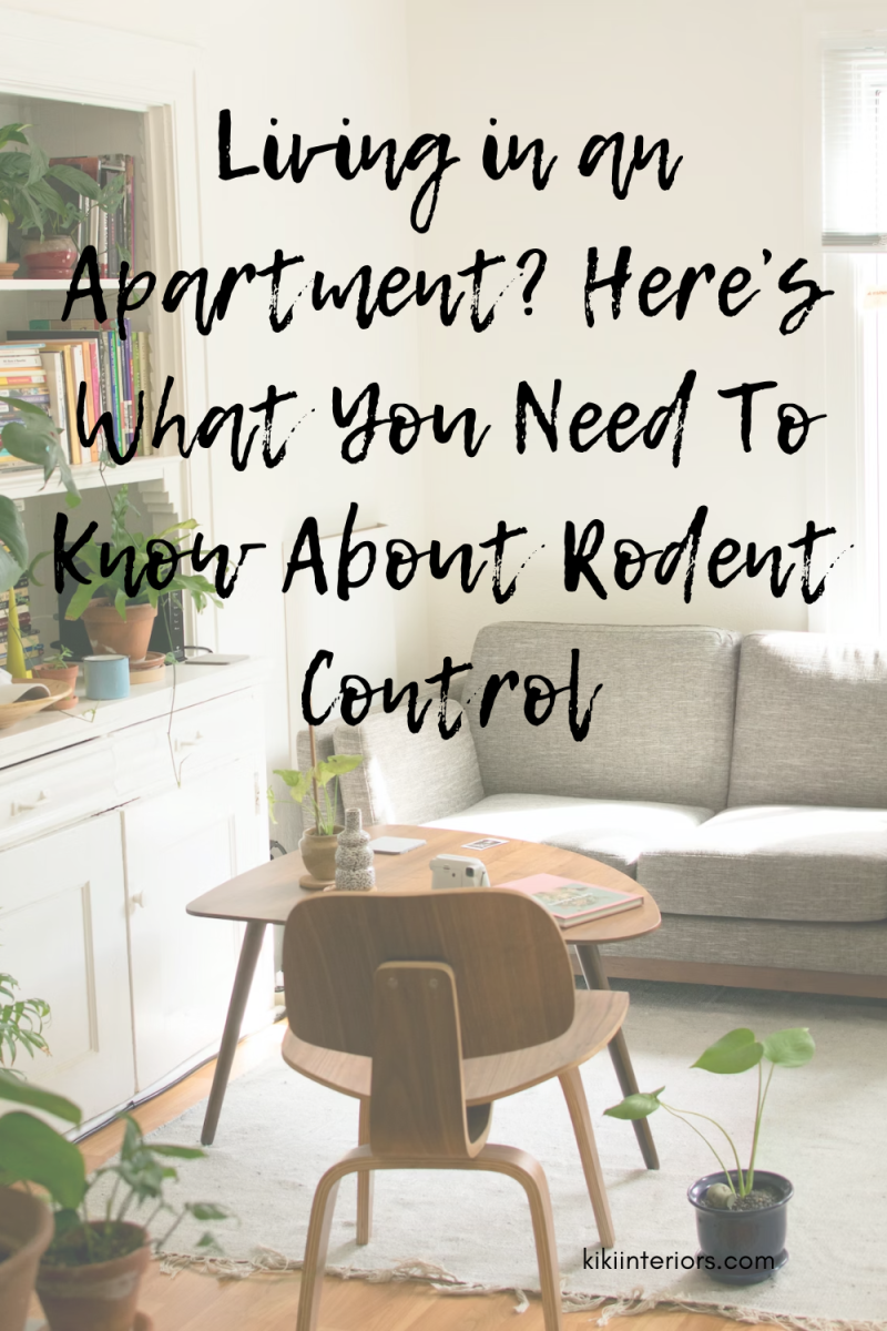 living-in-an-apartment-heres-what-you-need-to-know-about-rodent-control