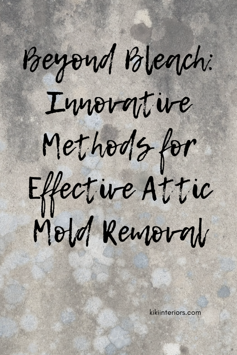 beyond-bleach-innovative-methods-for-effective-attic-mold-removal
